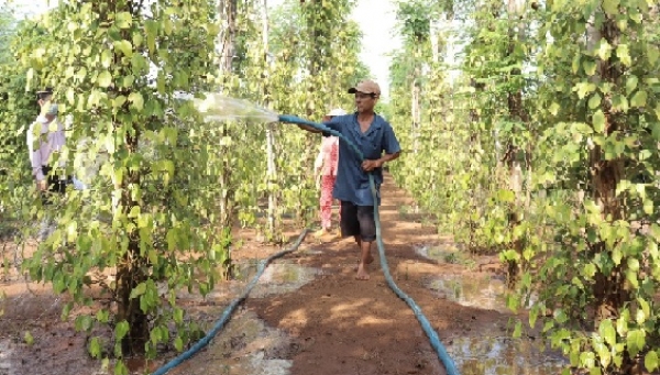 TÍN DỤNG CHÍNH SÁCH GÓP PHẦN LÀM THAY ĐỔI DIỆN MẠO NÔNG THÔN