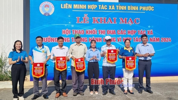 Bình Phước: Hội thao hưởng ứng Tháng hành động vì hợp tác xã năm 2024