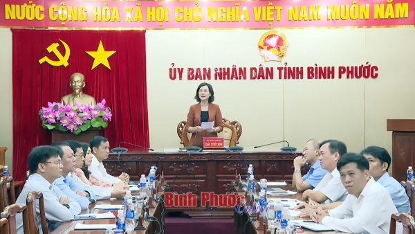 Cần quy định hạn mức cụ thể trong đầu tư ứng dụng công nghệ thông tin sử dụng ngân sách